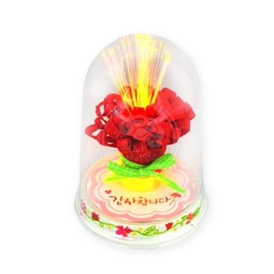 [와니사이언스] LED 카네이션 조명등 만들기(케이스부)6명1세트 SK-5094