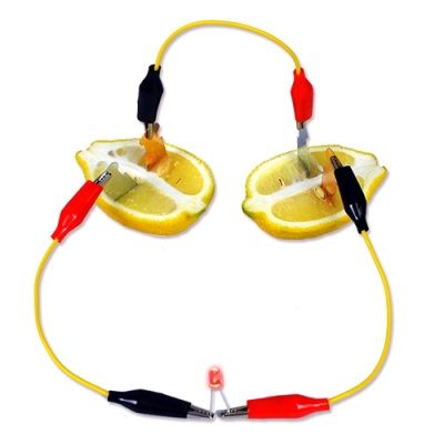 [와니사이언스] 과일전지로 발광다이오드 켜보기