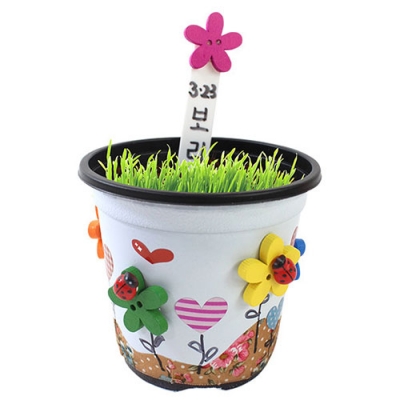 [이지피아] 꽃단추 보리화분 만들기