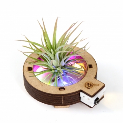 [사이언스타임] LED 공기 정화 화분 만들기