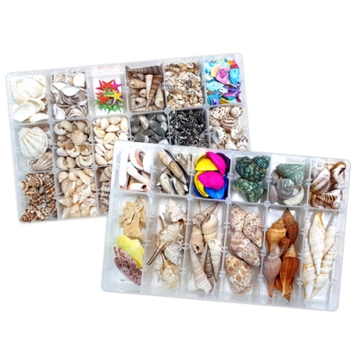 [오케이아트] new 조개껍질 종합세트