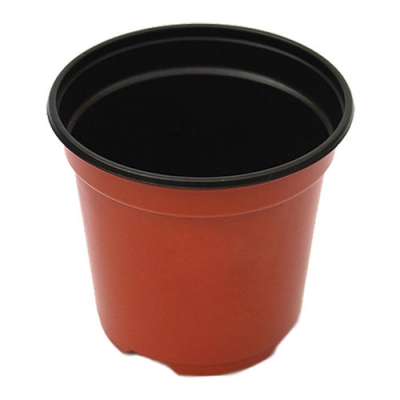 [자람사이언스] 식물성장 관찰용 화분(4개)