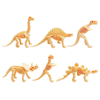 [자람사이언스] 미니공룡뼈 6종세트