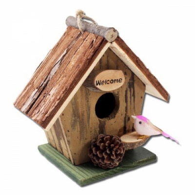 [이지피아] 솔방울 나무 새집 만들기