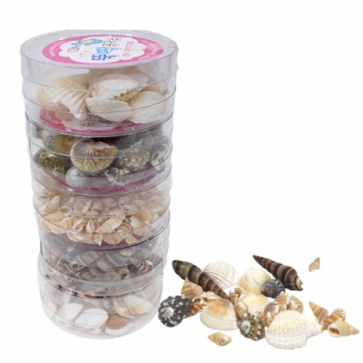 [이지피아] 조개껍질(6종 중 택1)