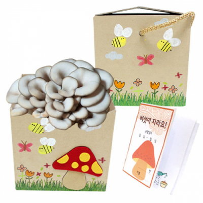 [이지피아] 느타리 버섯 키우기_관찰일지(버섯 펠트지 포함)