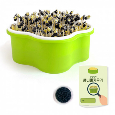 [이지피아] 초간단 콩나물 키우기_식물 기르기 체험 관찰 학습