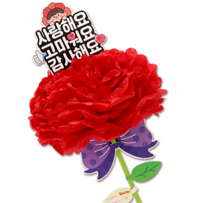 [하하당] 마음 담은 대왕 카네이션
