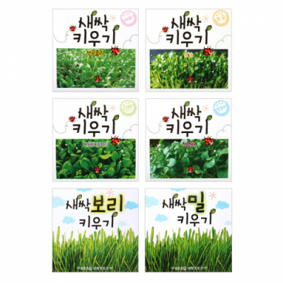 [빅드림] 채소씨앗 새싹키우기 (6종 택1)