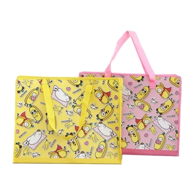 [아트윈] 룰루랄라 패턴 타포린백