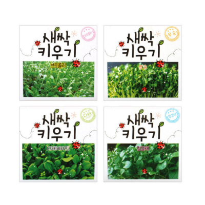 [아트윈] 새싹 키우기 (4종 세트)