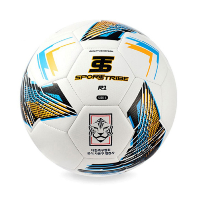 [스포츠트라이브] 알원(R1) 큐원(Q1) 축구공