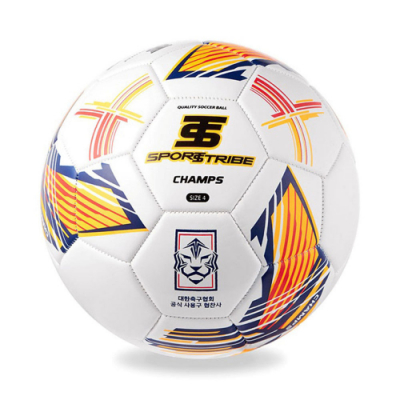 [스포츠트라이브] 챔프스 축구공