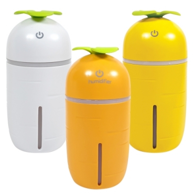 [오키도키] 캐롯 가습기