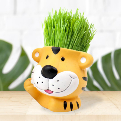 [오키도키] 도자기 호랑이 잔디머리 키우기(6개)