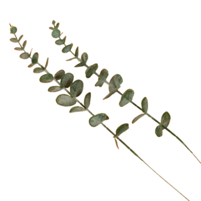 [쥬크박스] 유칼립투스조화 (3개세트)