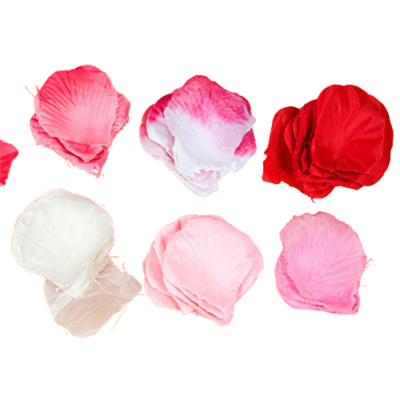 [쥬크박스] 꽃잎조화_6종세트