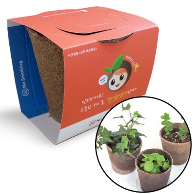 [이든교육] 금연 씨앗재배_에코화분