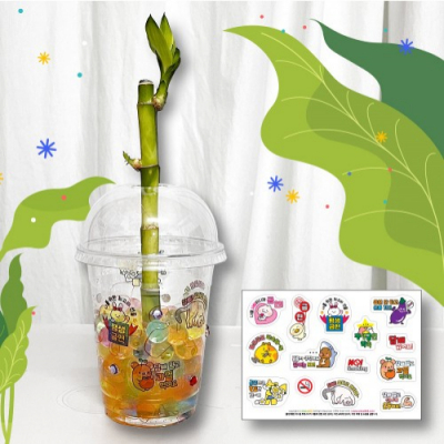 [이든교육] DIY 흡연예방 개운죽 만들기 (10인용)