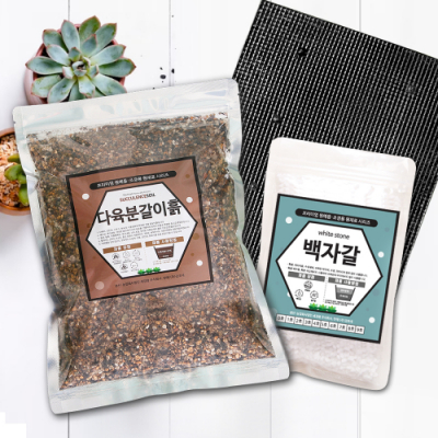 다육이 분갈이흙 백자갈 깔망 3종세트