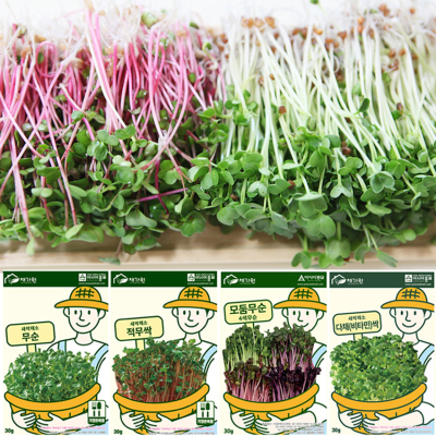 [세경팜]새싹키우기 새싹채소 씨앗30g(씨앗선택)