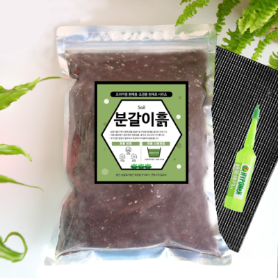 식물 분갈이흙2L+깔망+앰플 영양제
