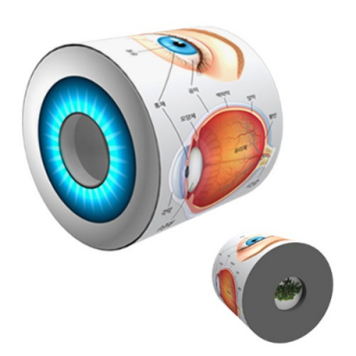 [사이언스팜] 뉴 눈으로 보는 눈의 구조(1인용/5인용)