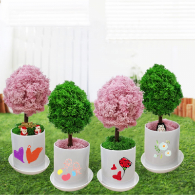 [마이제이디] 스칸디나비아모스 트리 미니화분  만들기