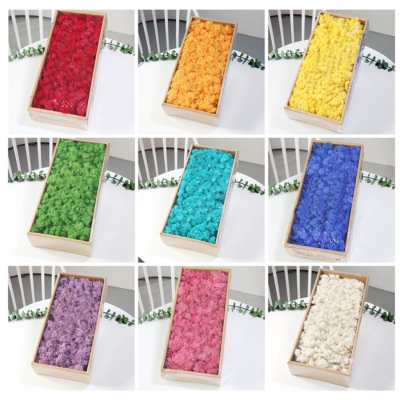 [마이제이디] 스칸디나비아 모스 500g_1박스