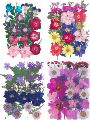 [레진아트/공예재료] 나만의 DIY 만들기_생화 압화 누름꽃 세트 모음(중대)