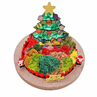 [마이제이디] DIY 크리스마스 썬캐쳐 모스 테라리움 만들기 세트