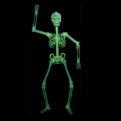 [네오텍스] 할로윈 해골장식 야광 대