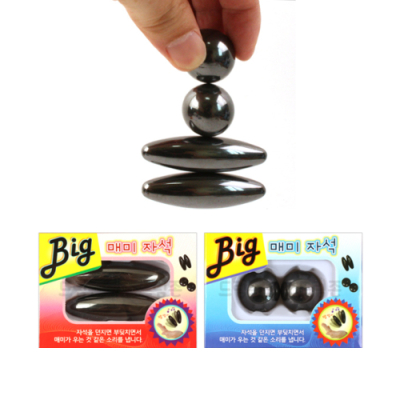 [프랜즈] 빅 매미 자석