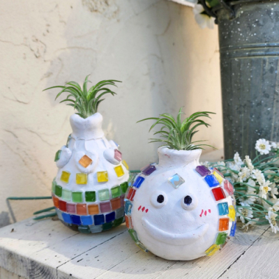 [미아아트] 이오난사 키우기 화분 만들기 환경 교육 키트