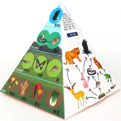 [미술샘] 먹이사슬 피라미드