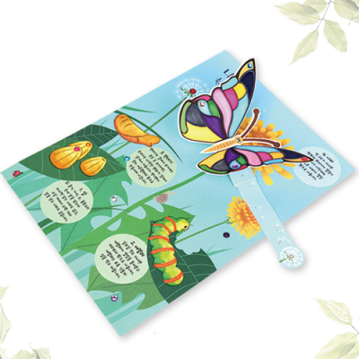 [미술샘] 팔랑팔랑 나비 한살이