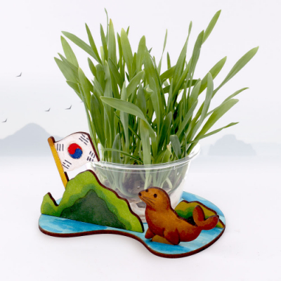 [미술샘] 독도 새싹 키우기