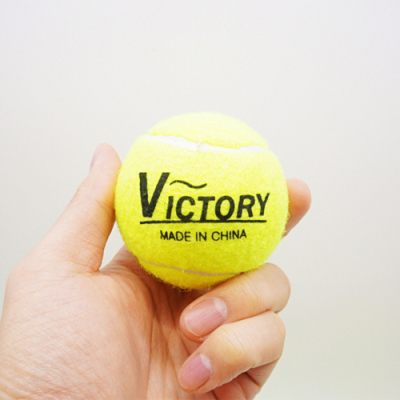 [토이토] 빅토리 안전한 연습용 테니스공 소프트볼