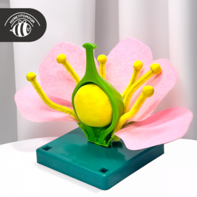 [허니폼폼] 꽃의구조 5입