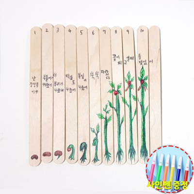 [미래과학] 우드 그림 그리기 (싸인펜 포함) 5인용