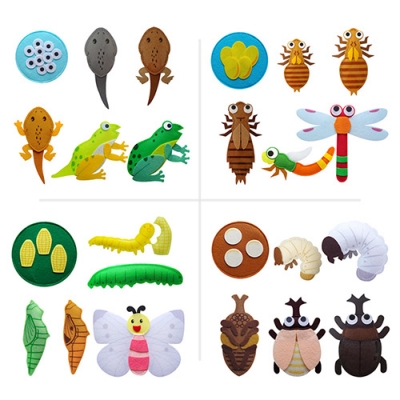 [청양코리아] 교육자료(동물의 한살이)