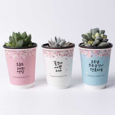 [에코패밀리] 봄꽃캘리 다육화분(3인세트)