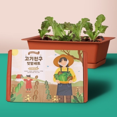 [꿈쟁이] 고기친구 텃밭세트 + 화분받침 (상추/적겨자/쑥갓)