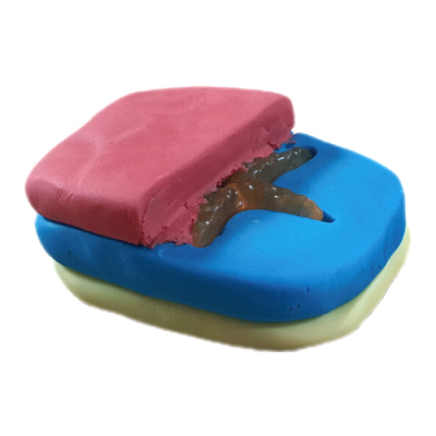 [꼬메빔보] 향기 비누만들기 세트 층층이 화석비누 (1인용)