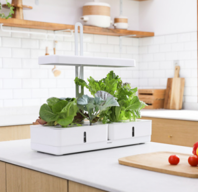 [소원별] 교실속 도시농업화교육 LED 식물 수경재배기+씨앗5종 (45X18.8X47.5cm)