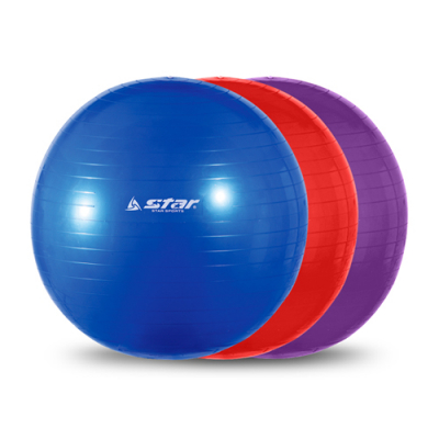 [스타스포츠] 짐볼 (4종 택1)