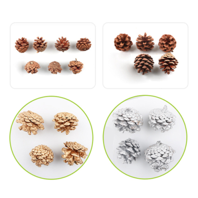 [유니아트] 천연 솔방울 (5종 택1)