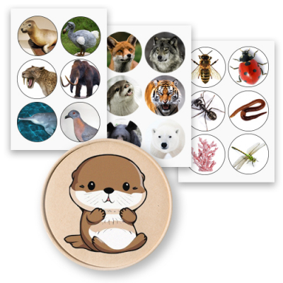 [소원별] 깨끗해지구 생분해 컵받침 꾸미기 (1개, 11.5cm, 멸종/멸종위기/생물다양성 3종 택1)