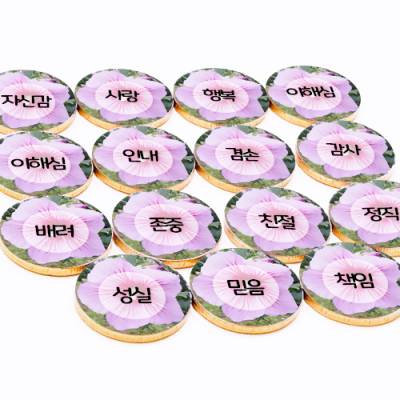 [소원별] 초등간식 가치사전 무궁화꽃 초콜릿 (15종 택1)