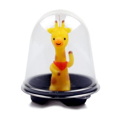 [이야코] 돔 원형 작품케이스 pet 용기